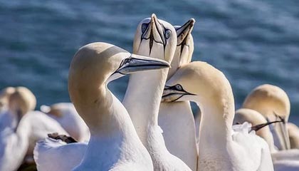 九游体育官网入口-绝地反击！强队逆转获胜续写冠军争夺历史，绝地反击上演惊天逆转