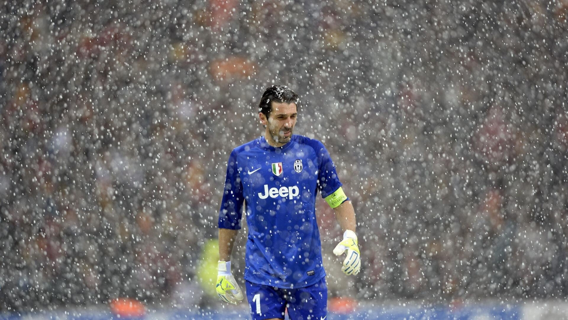 法甲胜利,球迷反应热烈,法甲足球